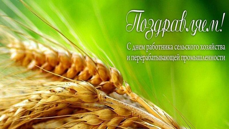 День работников сельского хозяйства.