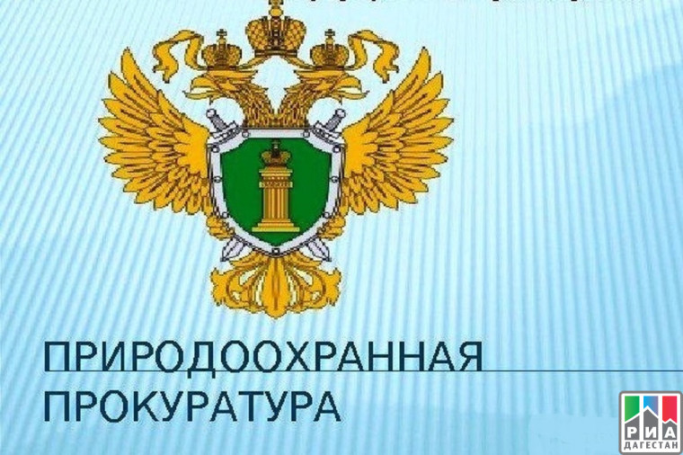 ПРИРОДООХРАННАЯ ПРОКУРАТУРА РАЗЪЯСНЯЕТ. ПРИРОДООХРАННАЯ ПРОКУРАТУРА РАЗЪЯСНЯЕТ.