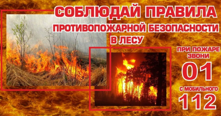Соблюдение правил пожарной безопасности в лесу – обязанность каждого. Соблюдение правил пожарной безопасности в лесу – обязанность каждого.