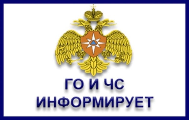 ГО ЧС информирует. ГО ЧС информирует.