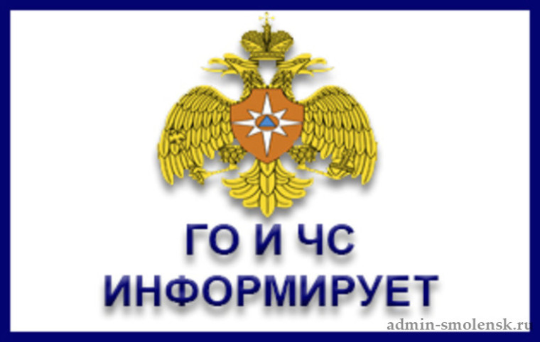 ГО ЧС информирует. ГО ЧС информирует.